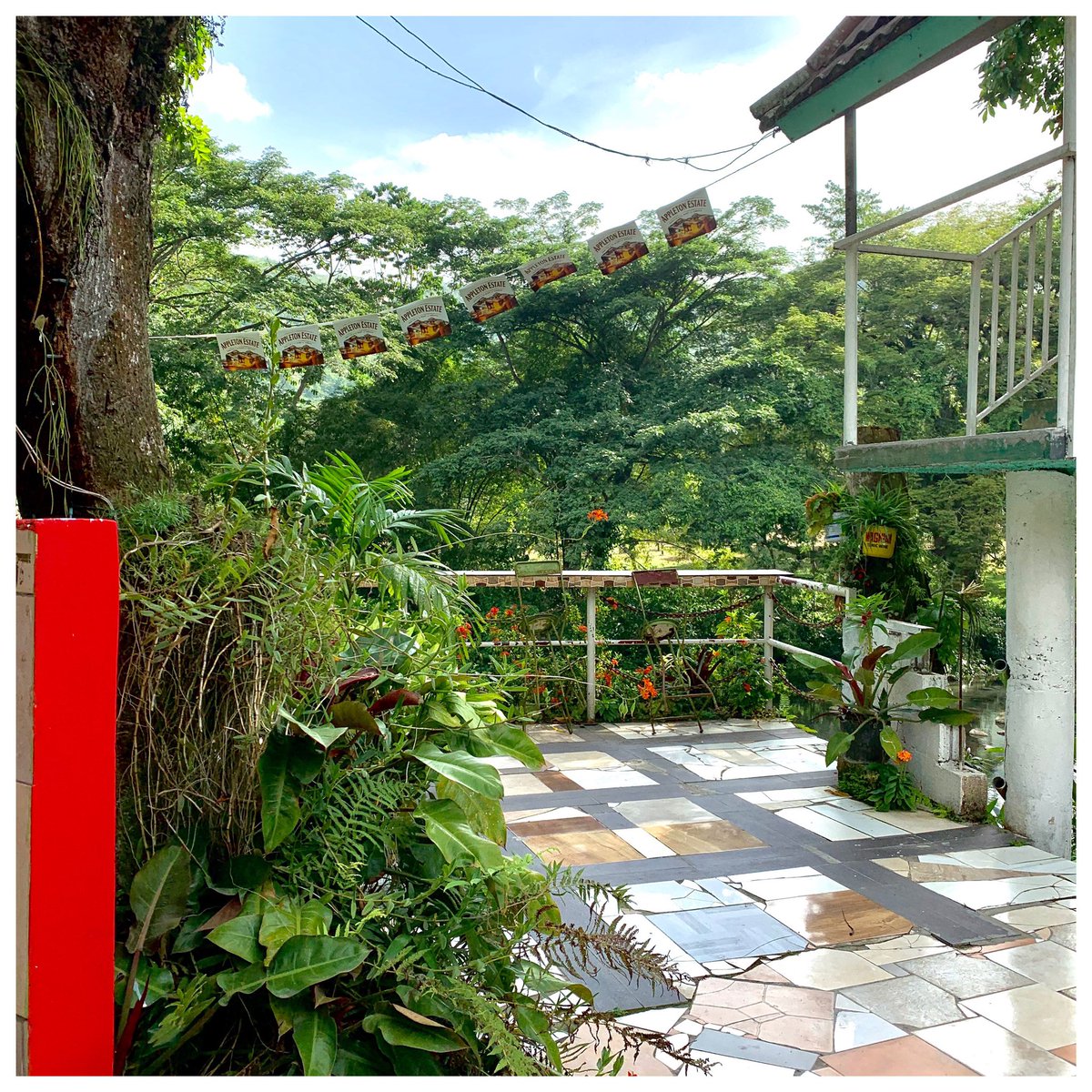 JA_Escapades's tweet photo. The proprietor came out & greeted us. We loved the eclectic style & landscaping.
*Rum Bar with a difference*
#StayCation #RoadTrip #TravelLocal #LocalWanderer #LocalAdventures #LiveYourBestLife #LiveAuthentic #Wanderlust #Experience #Jamaican #Hospitality
#PostcardsFromTheWorld https://t.co/6Y3ZjEsmy2