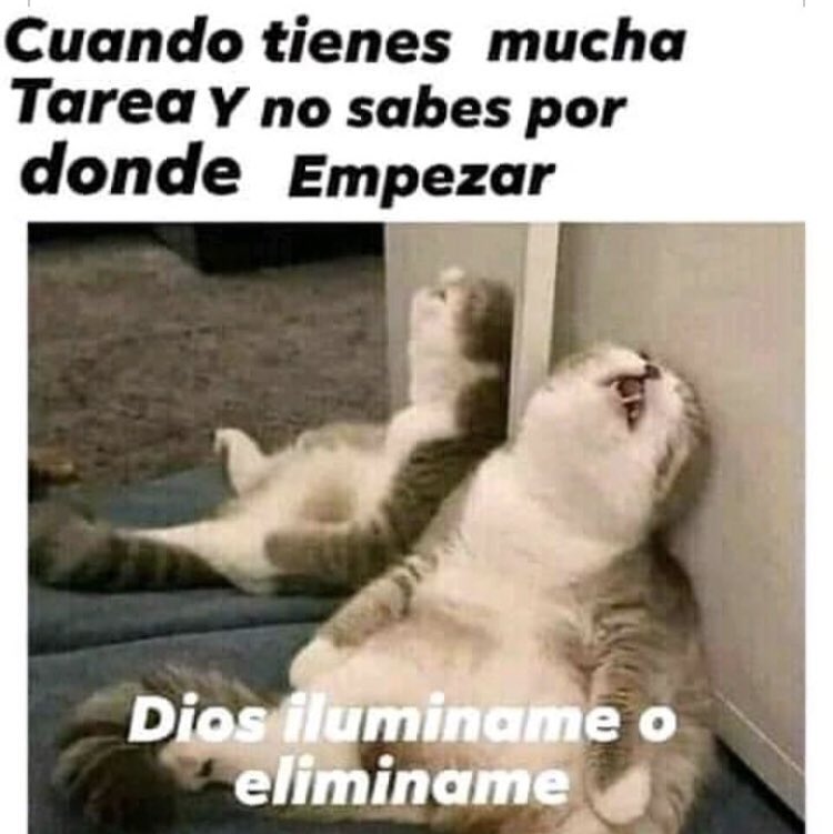 RenzoARR's tweet photo. Porfavor xD #blessmeplease https://t.co/sEXZI9MNdp
