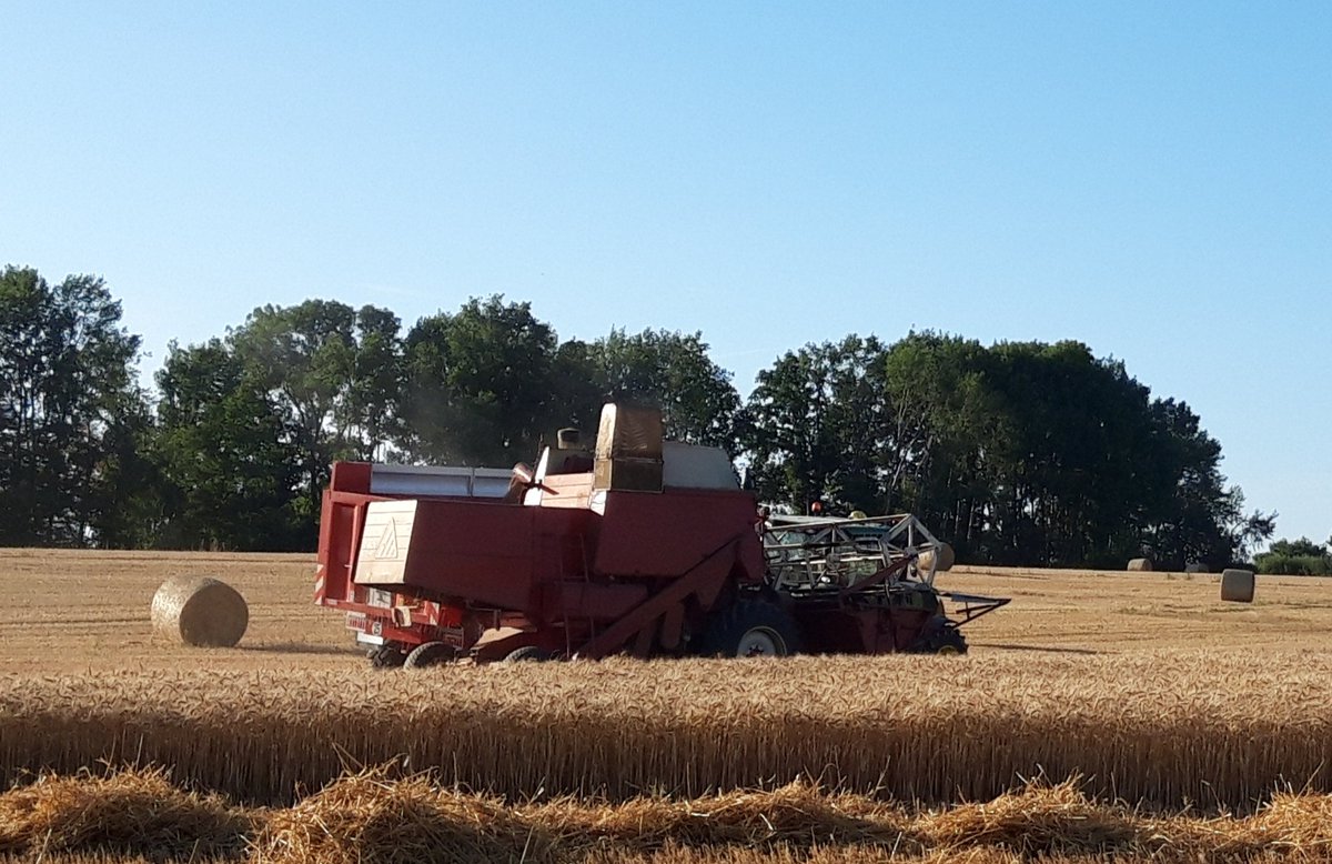 #moisson2020 #oldtimer 👍🏻