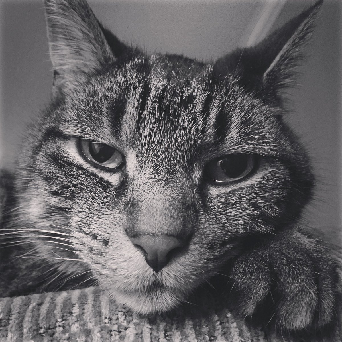 Aaron Train tweet media