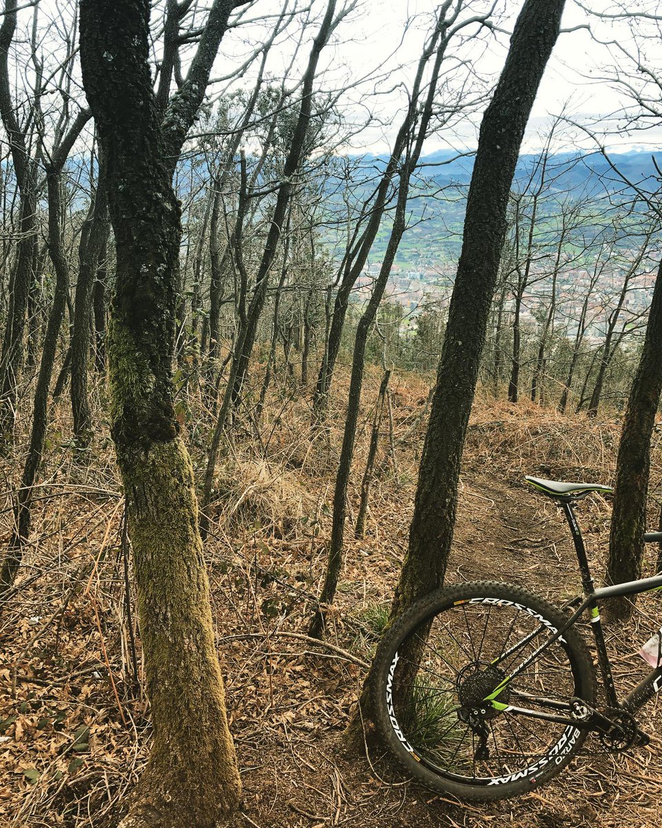 mooquer's tweet photo. ▪️Y aquellos troncos que parecían viejos, dieron sus frutos y lucen frondosos 🍏🍏 Semana de muuuuuchas novedades VAMOS! 🚀🚀 #mooquer #rideandstyle #cannondale #cannondalefsi #leftycarbon https://t.co/x10nEMwd42