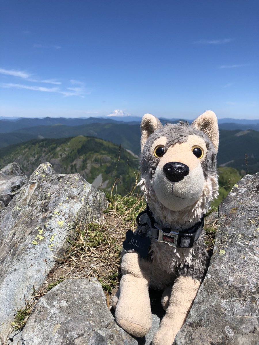 WhereIsJujuNow's tweet photo. Checking out five volcanoes at the top of Silver Star #WhereIsJujuNow https://t.co/169miQIgwq