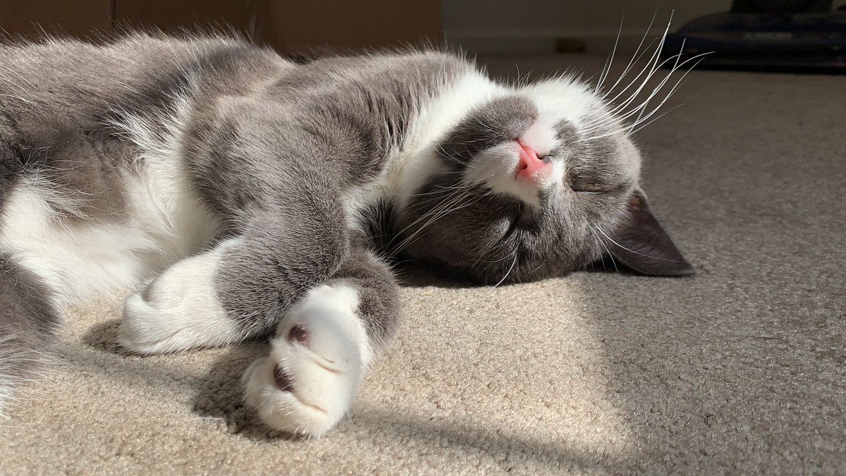 nicole 🩵💫✨ tweet media