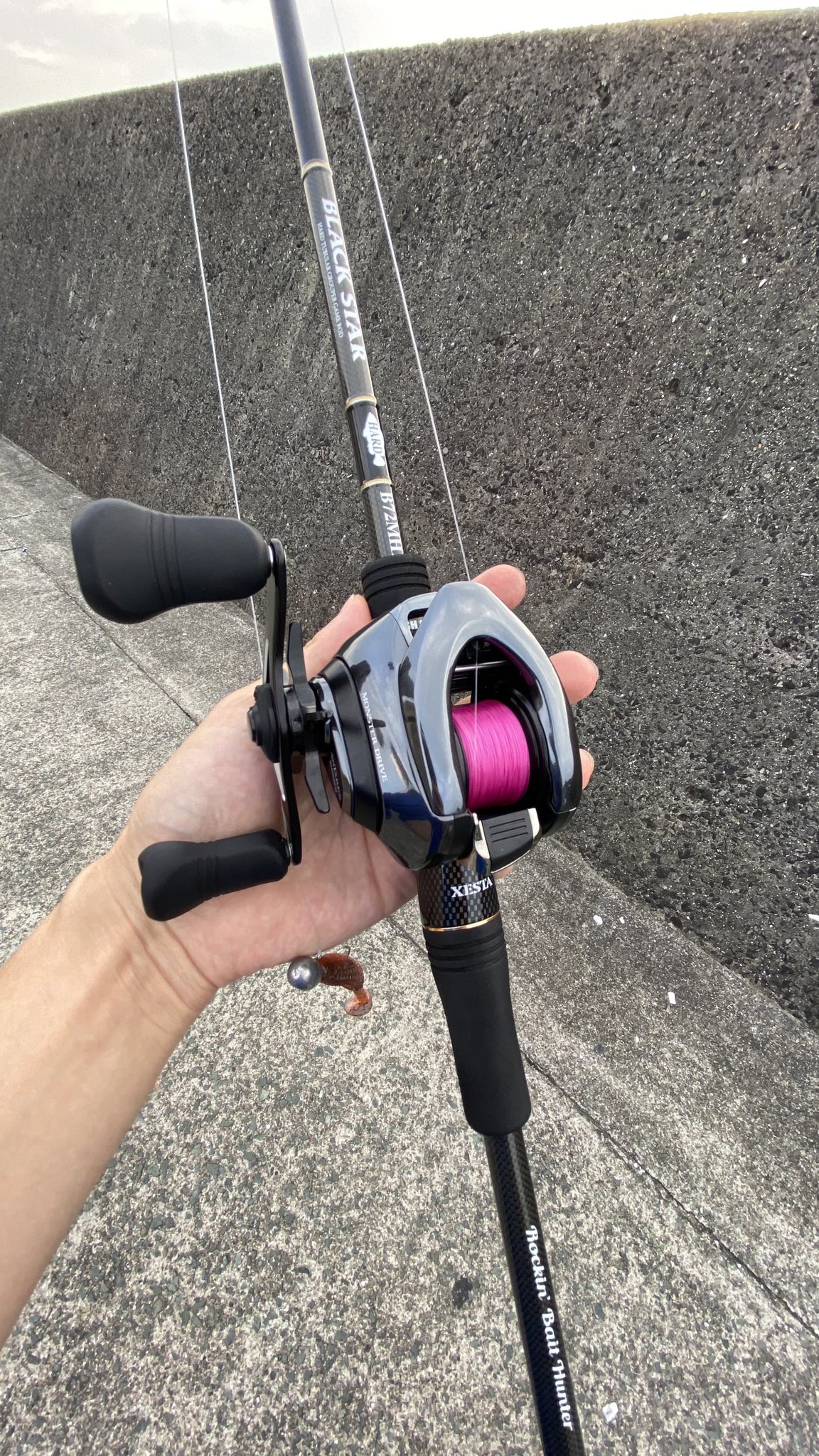 どぶろー またまたベイトタックルの新調 はたこ氏と同じロッドにアンタレスdcmdの贅沢仕様 土曜日はボウズだったけと昨日は釣れた 瀬戸内アコウ40ジャスト ギリギリだけど今期の目標達成 次は きじはたこ ブラックスター アコウ T