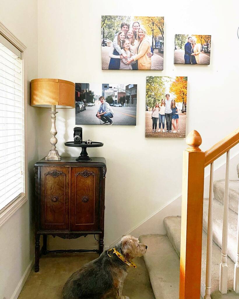 DineandDish's tweet photo. Meg is quite angry she doesn’t get a spot on the family picture wall. I may need to take her, the cat and the turtle out for a photo shoot of their own. PS photos by the extremely talented @sweetchaiphotography Love her work!!
.
.
#picturewall #rescuedog… https://t.co/5BaeVEx0DS https://t.co/YTG6kSYJib