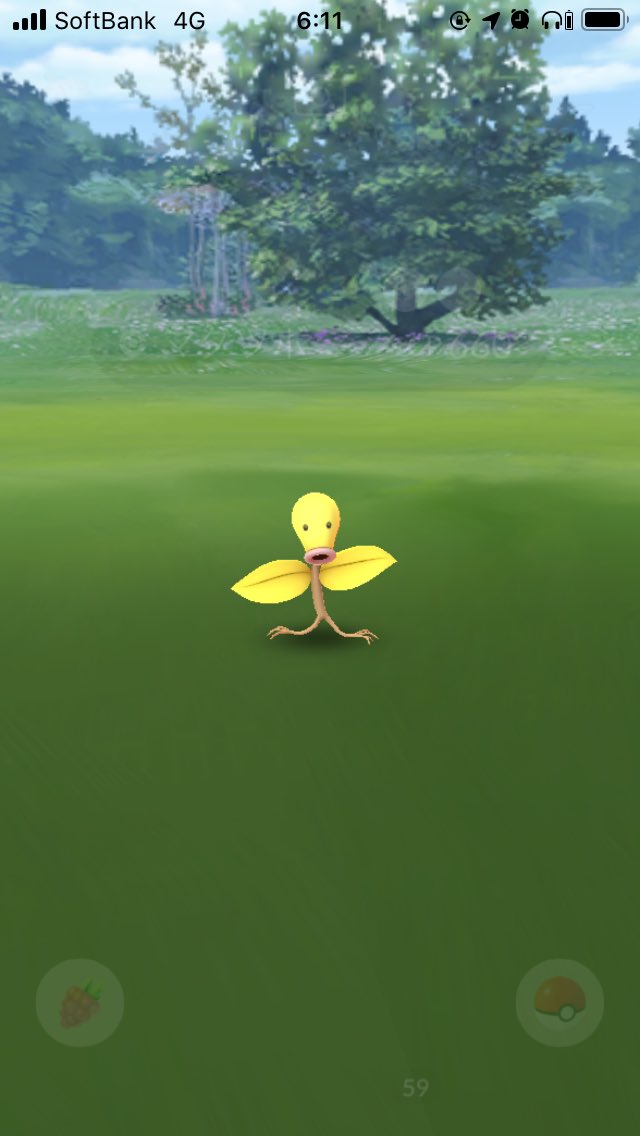 イエロー 通勤途中の信号待ちで マダツボミ色違い ポケモンgo始めて何年か マダツボミはたくさんゲットしたが 初めてだな 最近実装されたのかな ポケモンgo