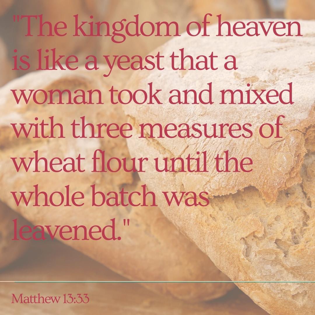 Seton Home tweet media