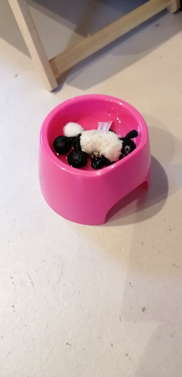 shichinosuke07's tweet photo. 今朝起きたら悲劇が(笑)ひつじのショーンのキーホルダーが猫によって水没💦
#猫好きさんと繋がりたい 
#猫のいる生活
#猫のいたずら
#ひつじのショーン https://t.co/fFYMpW6CXC