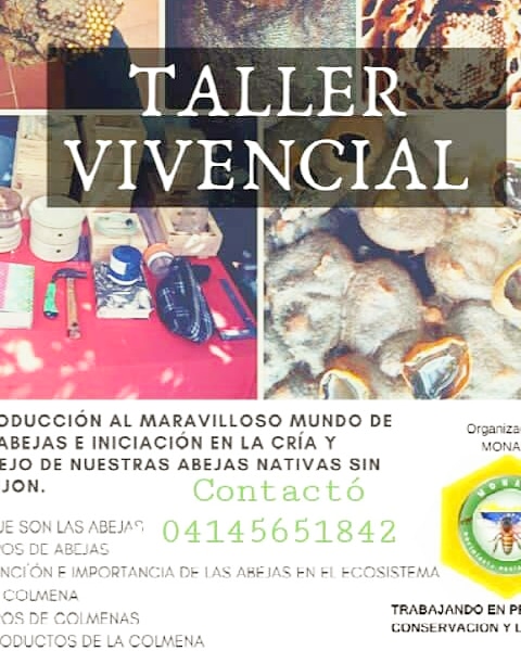 Yelitza S Design (@yelitzasdesign) on Twitter photo 