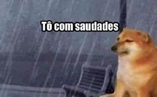 DormiramNaEtec's tweet photo. os cachorros da Etec sem saber porque do nada ninguém mais voltou https://t.co/GNa77Er6NT