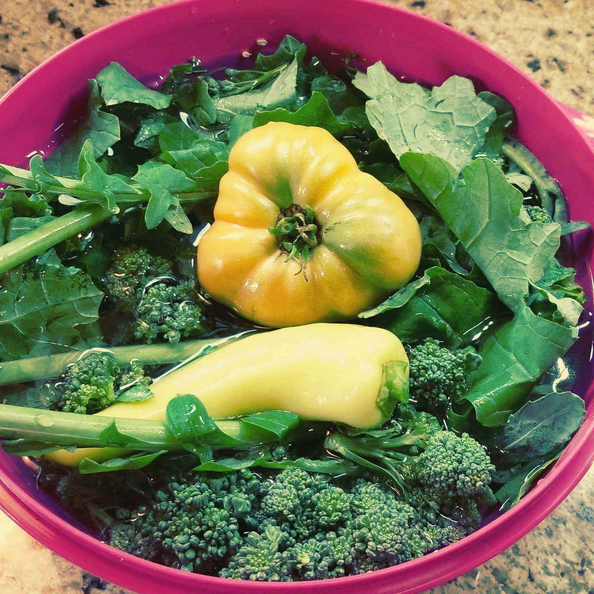 smiland's tweet photo. Tonight's #bounty n 1st #tomate of the season! A #pineappletomato #gardeningseason #kale #lettuce #ILoveGardening #gardener #gardenersworld #salad #salads #saladfixins #garden #tlc #broccoli #gardenhod #gardeninglove #gardening #gardenbounty #gardenveggies #gardeners #gardenlife https://t.co/dldCBzFOXz