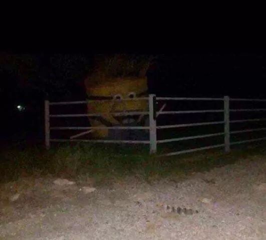 clowningforfish's tweet photo. Taking the angler fish out for a walk https://t.co/KHlrMiQwsv