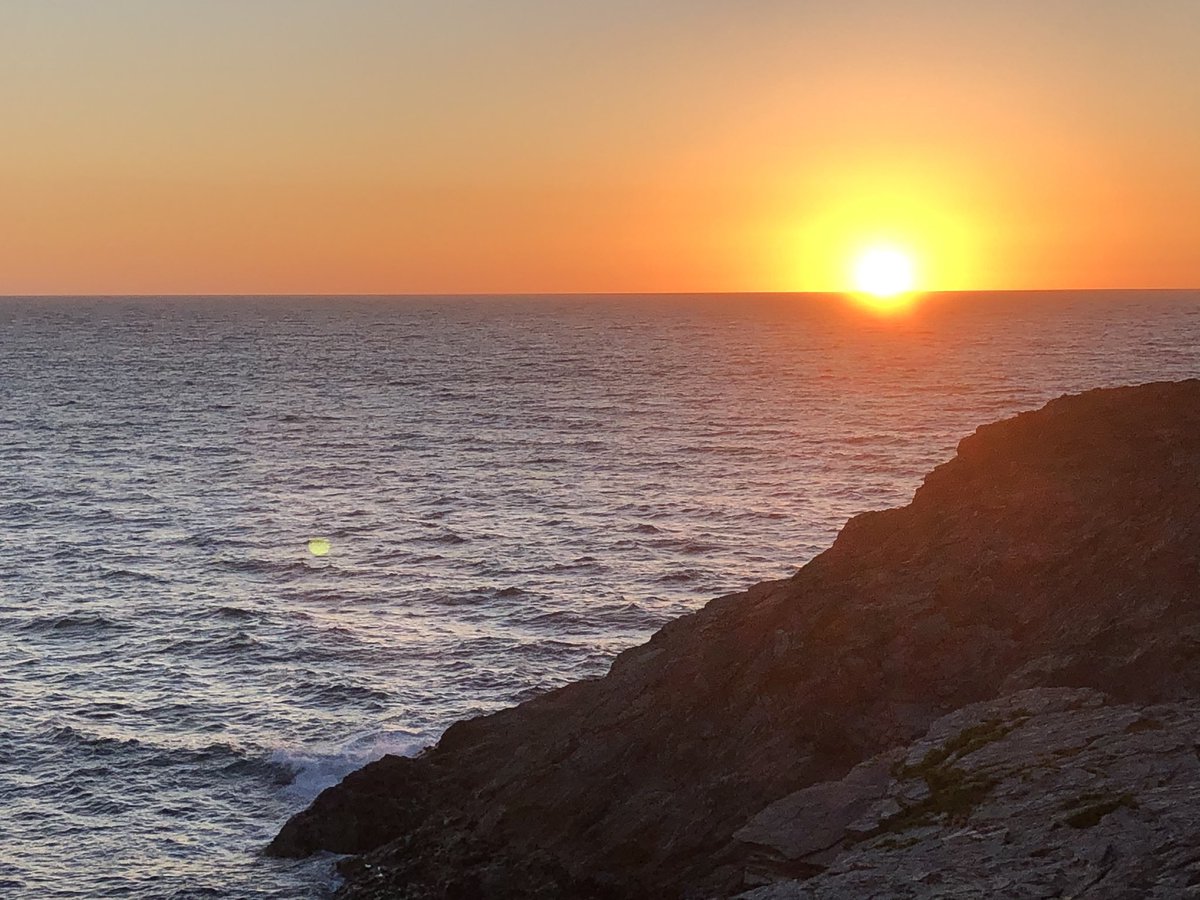 Robin Carr tweet media