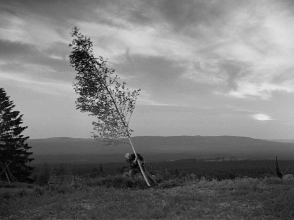 La Source - Ingmar Bergman (1960)