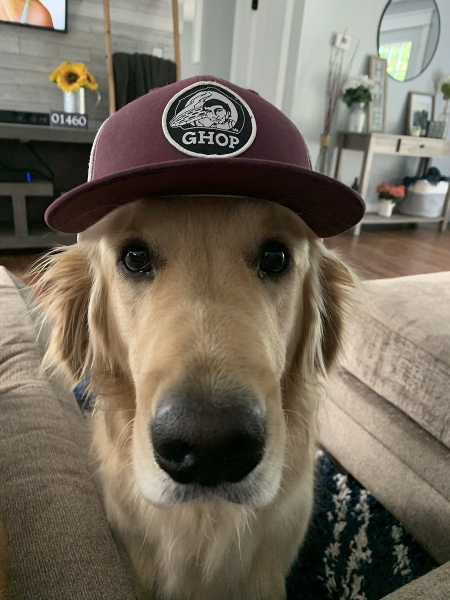 CoachStouks's tweet photo. Hey @GHOPME Remy is a HUGE fan of the crust and the maroon hat https://t.co/YRW3ib5N1q