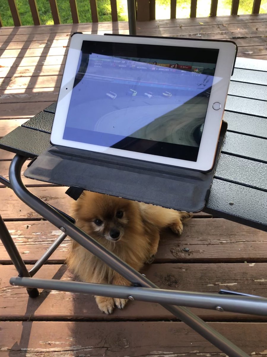 vireogirl's tweet photo. #HeyRut @RutledgeWood, Watching the race on the deck with my little Pomeranian, Prada! https://t.co/ra64JQ852B