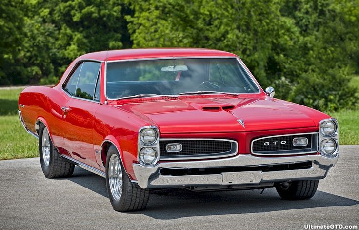 Fun tweet   Some Eye Candy  66 GTO