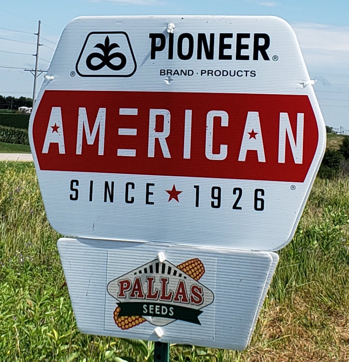 1melmo's tweet photo. @PallasSeeds 👍🇺🇸 https://t.co/JzWrwnKoXj