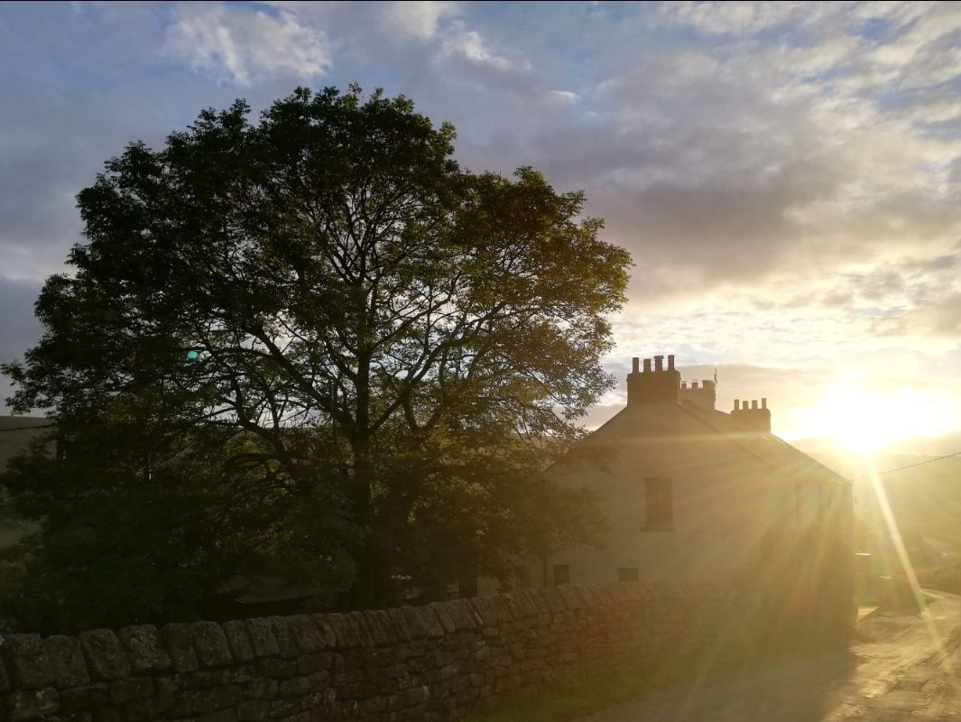 Flying Cloud tweet media