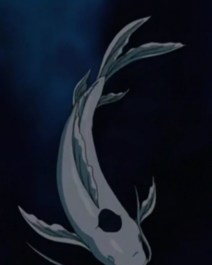Tui, also known as the Moon Spirit, is one of two spirits that reside in the Spirit Oasis at the North Pole within the Northern Water Tribe's capital city, taking the form of a white koi fish with a large black spot on its head.