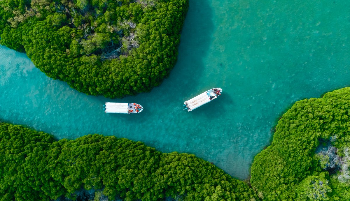 VisitSaudiAR's tweet photo. رحلة باتجاه الجمال، حيث الصفاء وارتياح الفؤاد!🌊🌿
تعود الحياة في #جزر_فرسان إلى أصلها الطبيعي والمذهل، كُن هناك واستكشف أسرارها.
#روح_السعودية https://t.co/tvYZh8mgSK