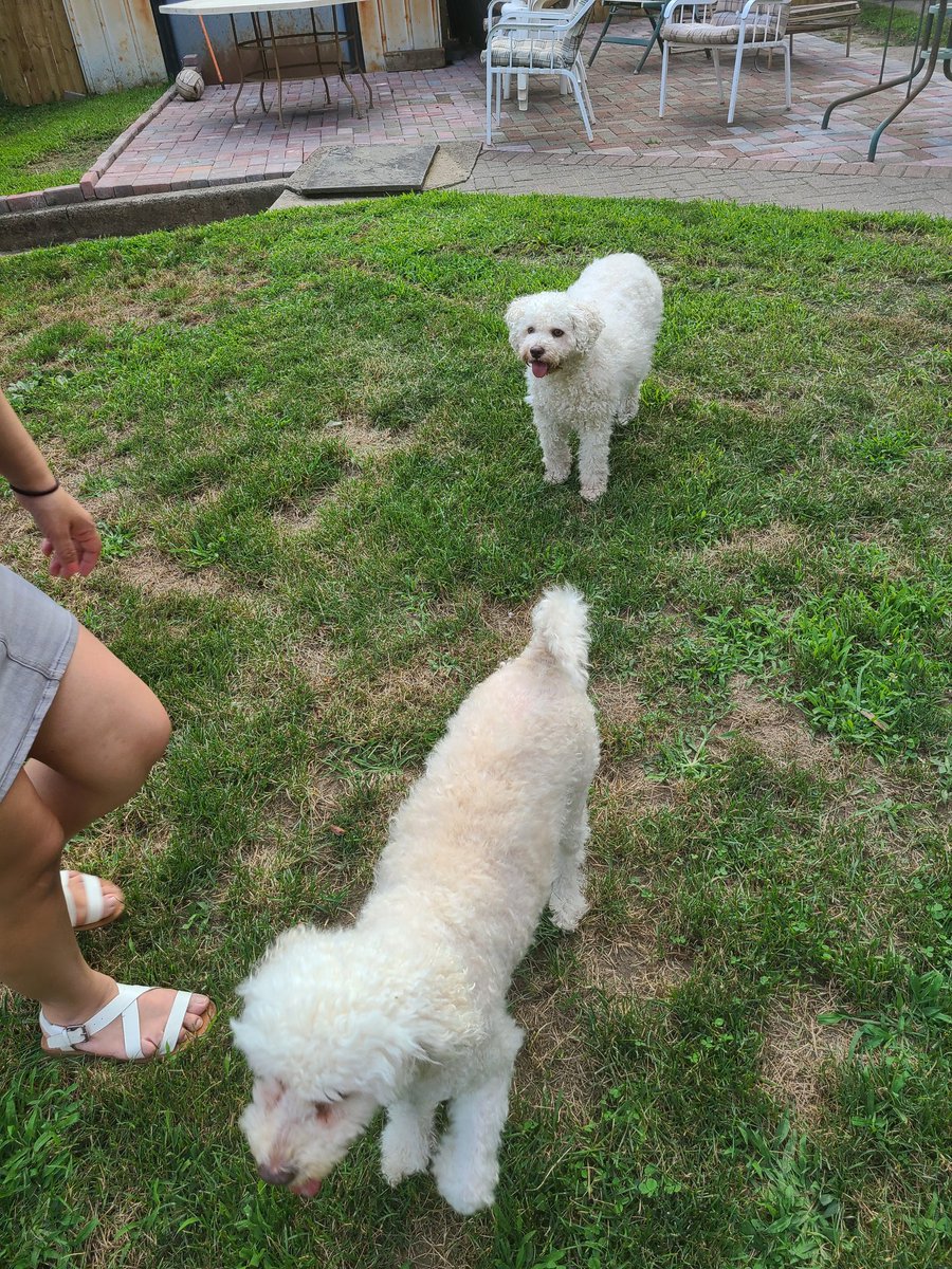 Lilian Pani tweet media