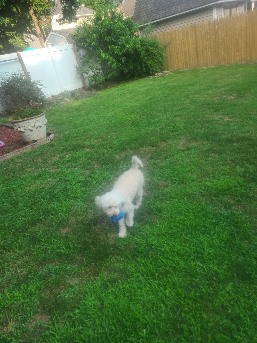 Lilian Pani tweet media