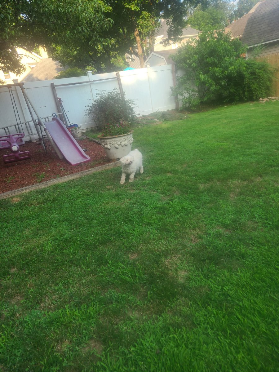 Lilian Pani tweet media