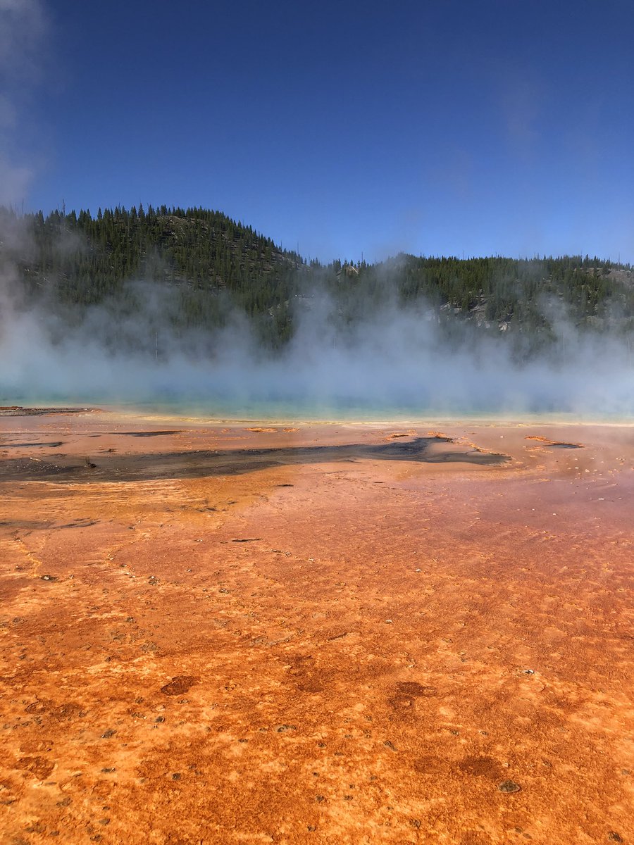 cole_uhlig's tweet photo. Yellowstone National Park, WY https://t.co/E6nVSqqjpP