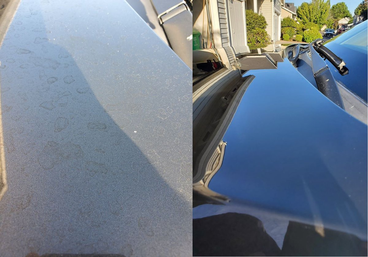 GameOverPDX's tweet image. Removing some water spots and polishing. Shiny! #detailing #autodetailing #carwash #carcare #cardetailing #ceramiccoating #paintcorrection #detailer #vw #Volkswagen #clean #details #detailers #nanoceramic #detailingworld #detailingaddicts #detailingdoneright #radiantshinedetail