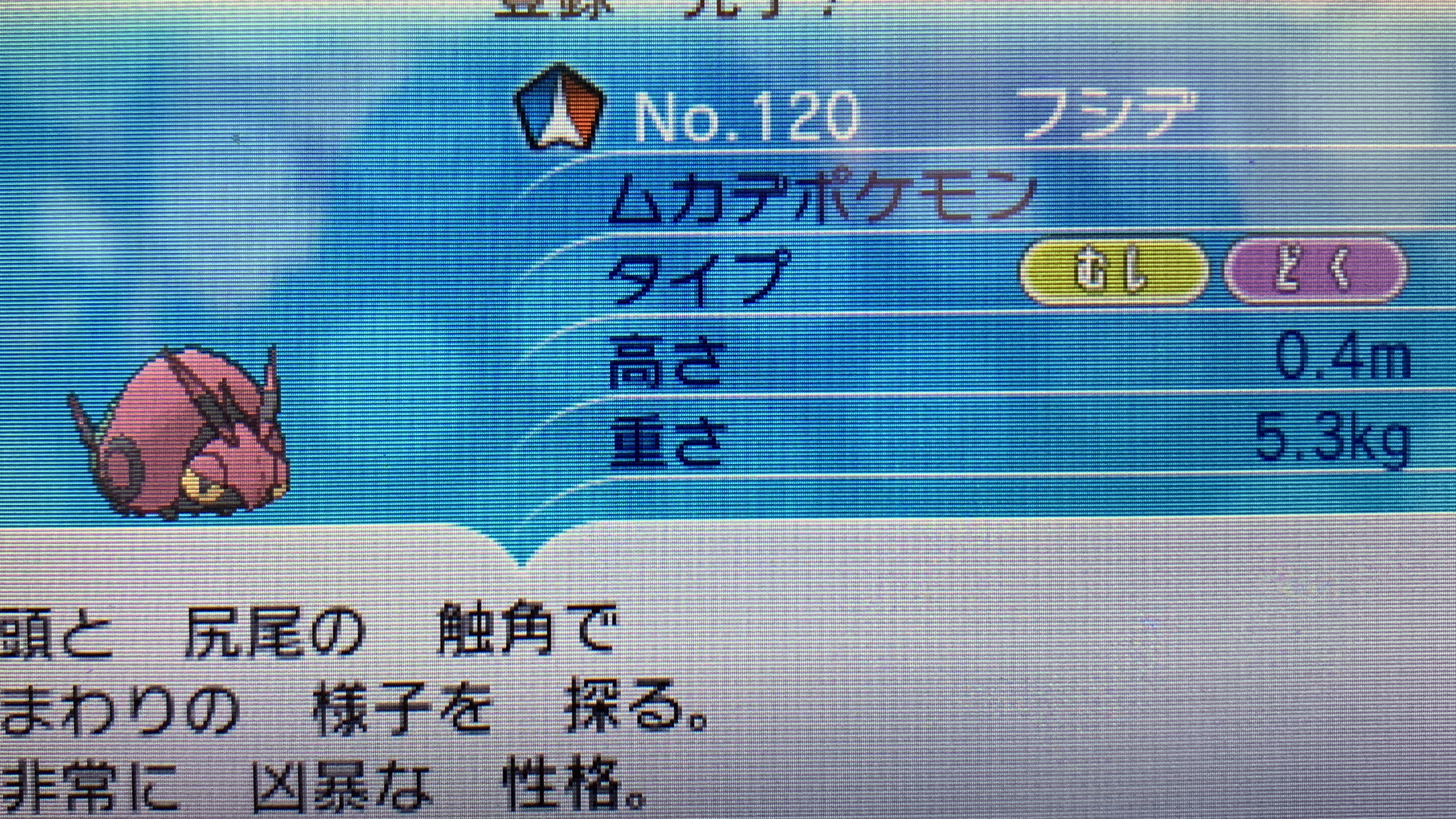 どくたーディロマト ポケモン6種コンプリートの道 Diromat Twitter