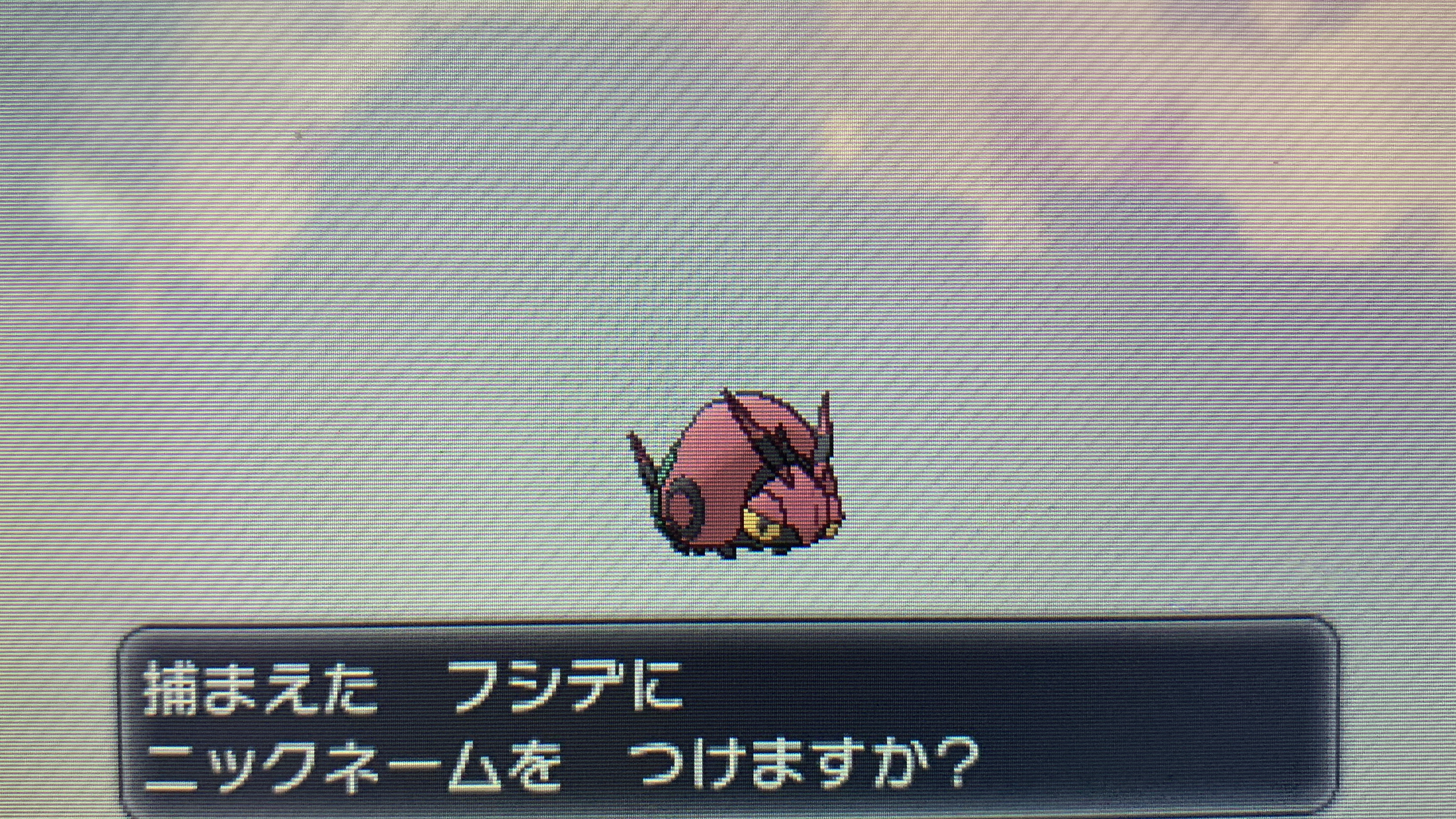 どくたーディロマト ポケモン6種コンプリートの道 Diromat Twitter