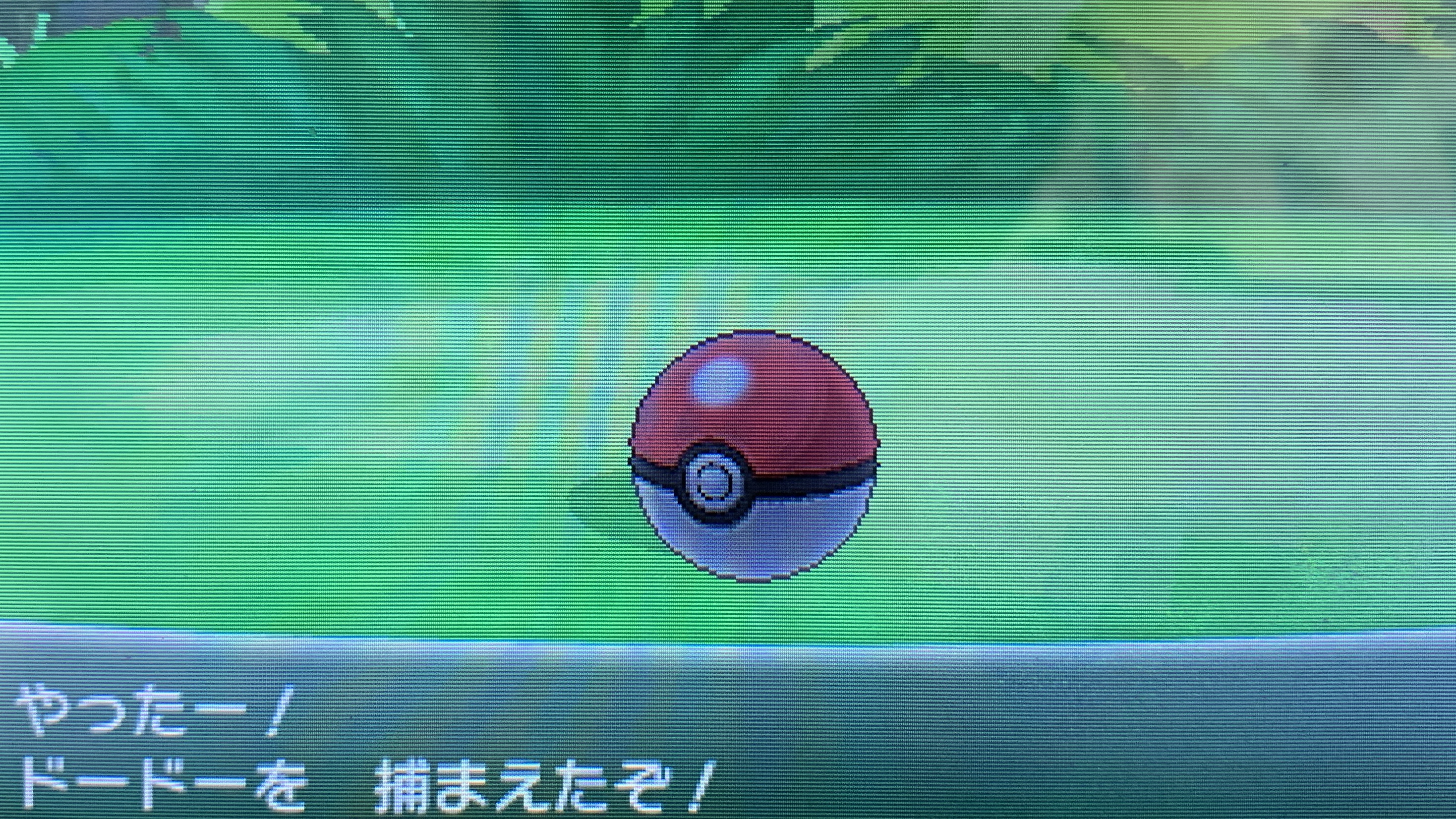 どくたーディロマト ポケモン6種コンプリートの道 Diromat Twitter