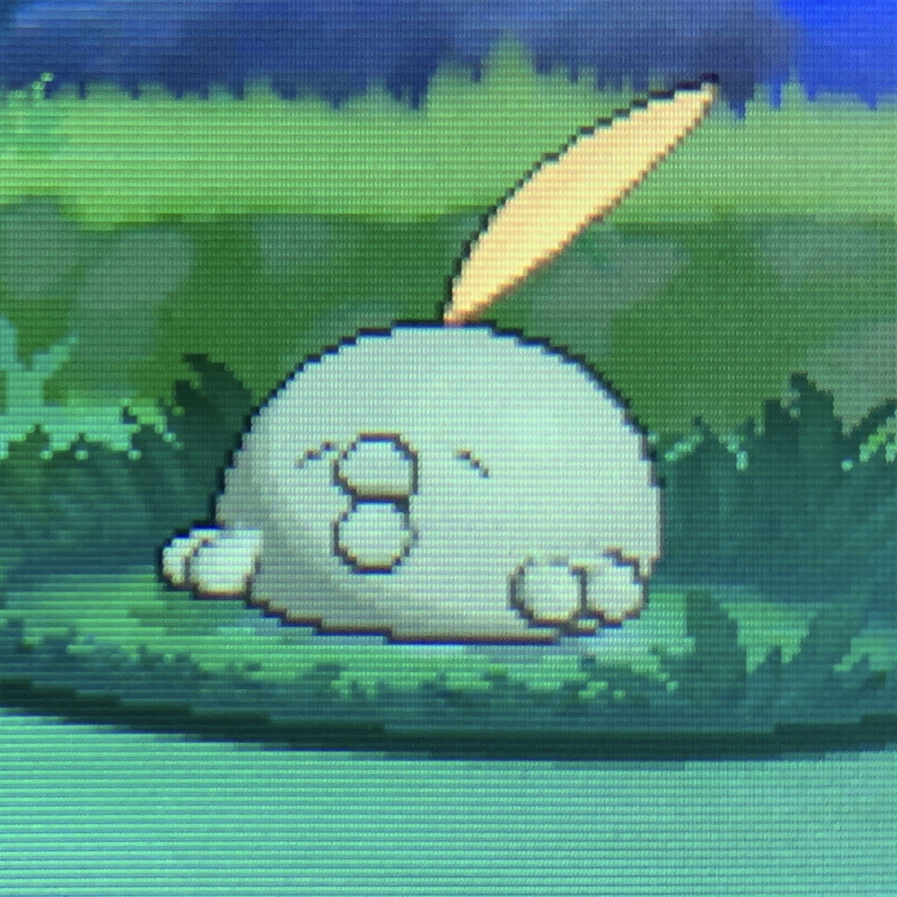 どくたーディロマト ポケモン6種コンプリートの道 Diromat Twitter