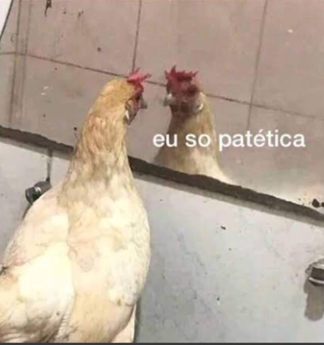 VantiniAmanda's tweet photo. Eu quando tinha 15, eu não tinha nem 2,00 na carteira hoje continuou não tendo kkkkkkkkk aí aí triste https://t.co/9PNhQimmHJ