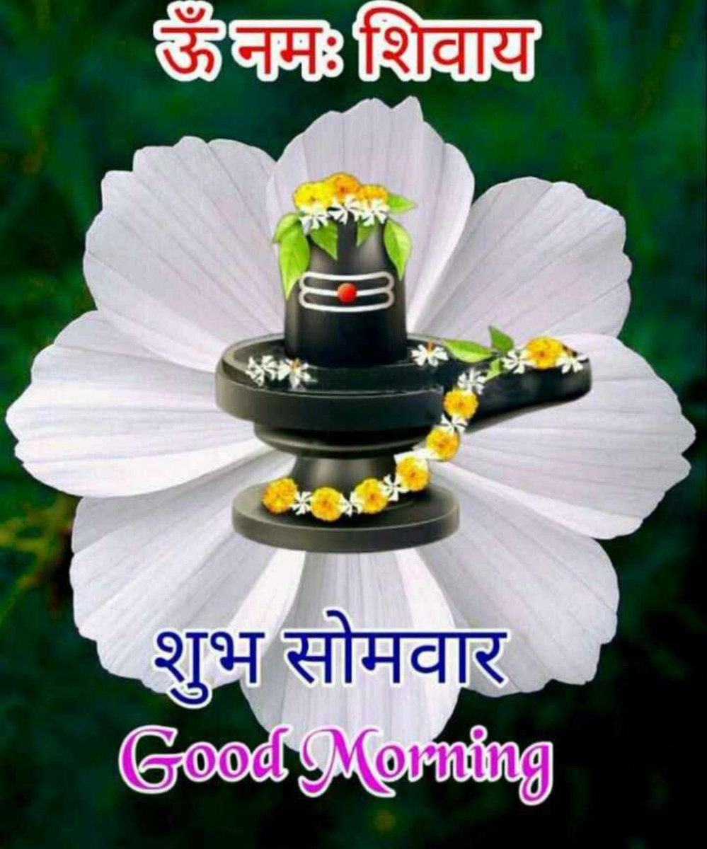 Sapna Good Morning To All Friends T Co 3ybswuvthm Twitter