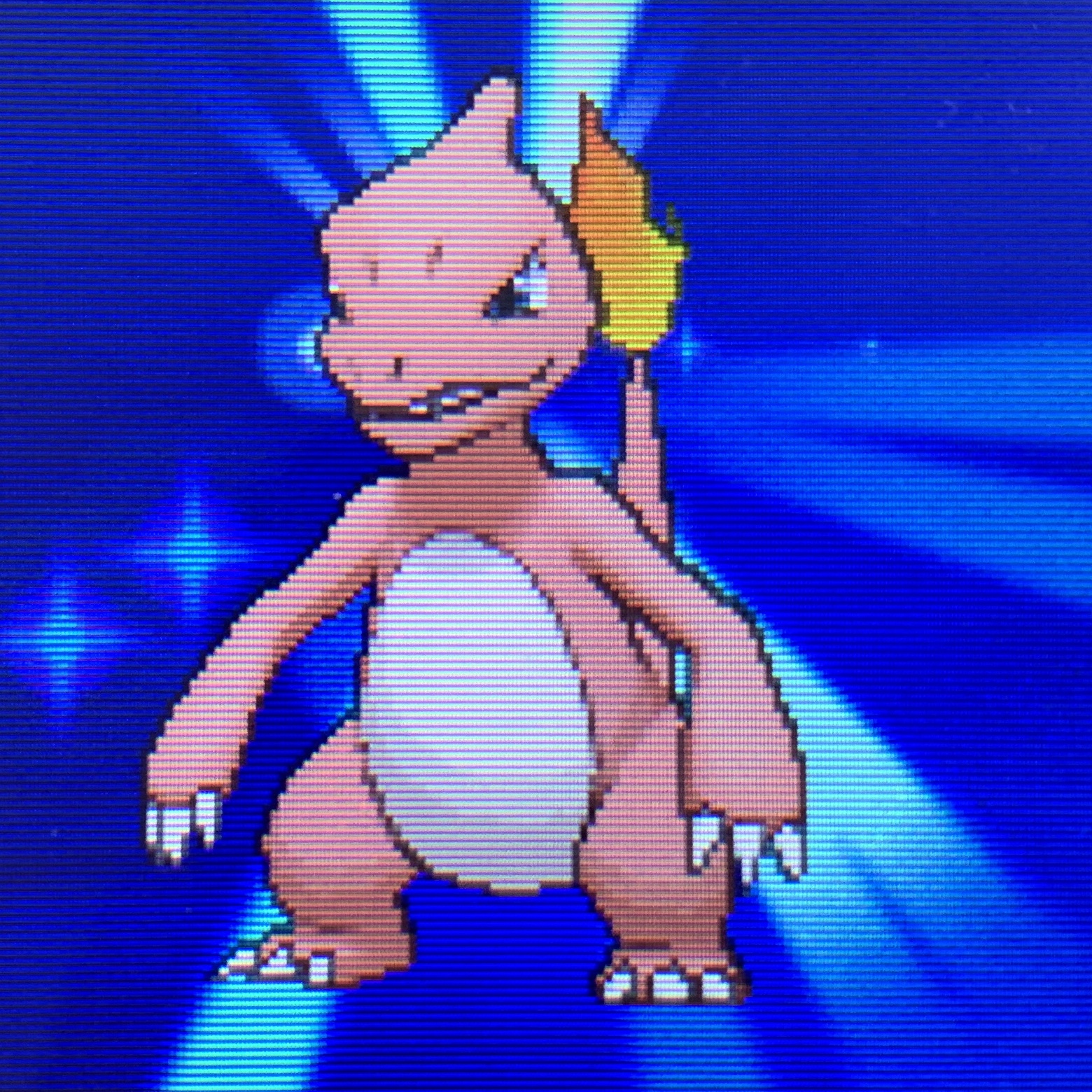 どくたーディロマト ポケモン6種コンプリートの道 Diromat Twitter