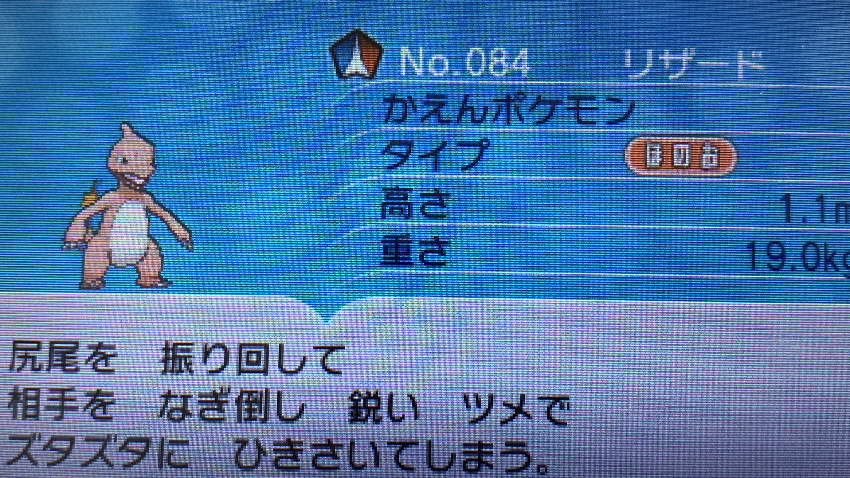 どくたーディロマト ポケモン6種コンプリートの道 Diromat Twitter