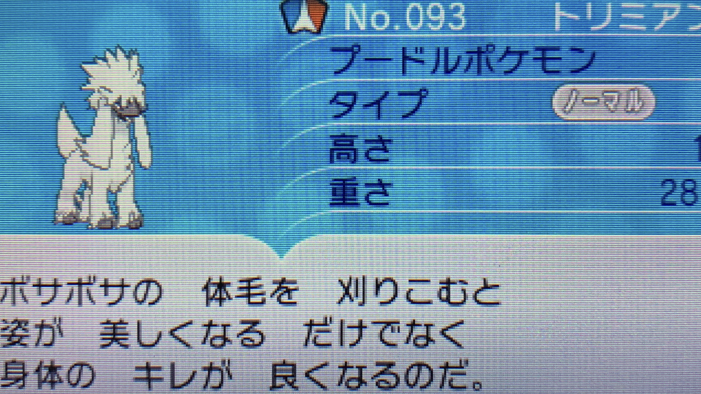 どくたーディロマト ポケモン6種コンプリートの道 Diromat Twitter
