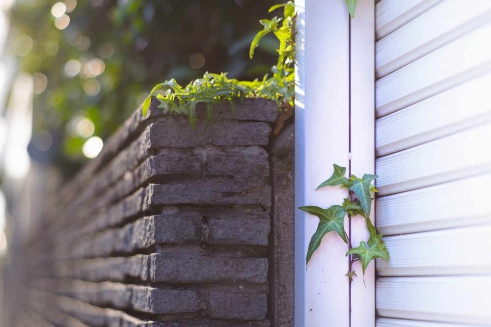 unknownself_'s tweet image. 中学生時代、毎日持ち歩いたカメラはオリンパス。時代は変わり他社ユーザーとなった今でもOMはずっと気になる存在です。大変な状況とは存じますがこの困難の時を何としても踏ん張り末永く存続して欲しいと願っています。