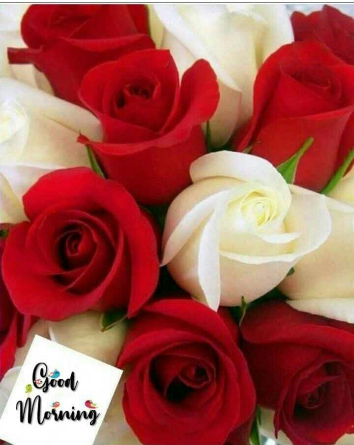 Hemmant7's tweet photo. https://t.co/O4a8HikAKx