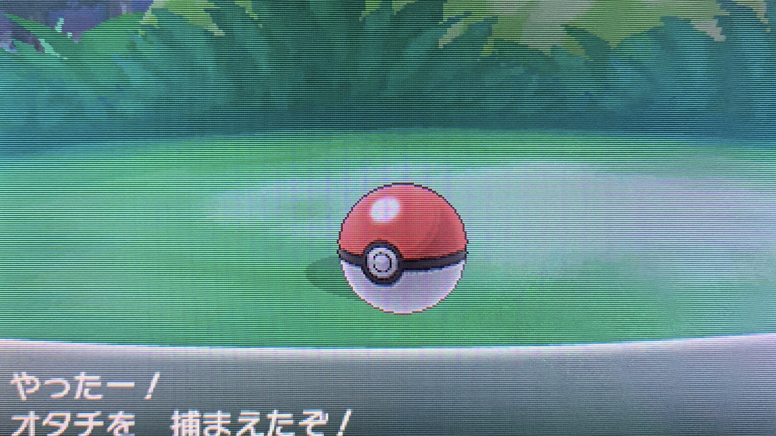 どくたーディロマト ポケモン6種コンプリートの道 Diromat Twitter