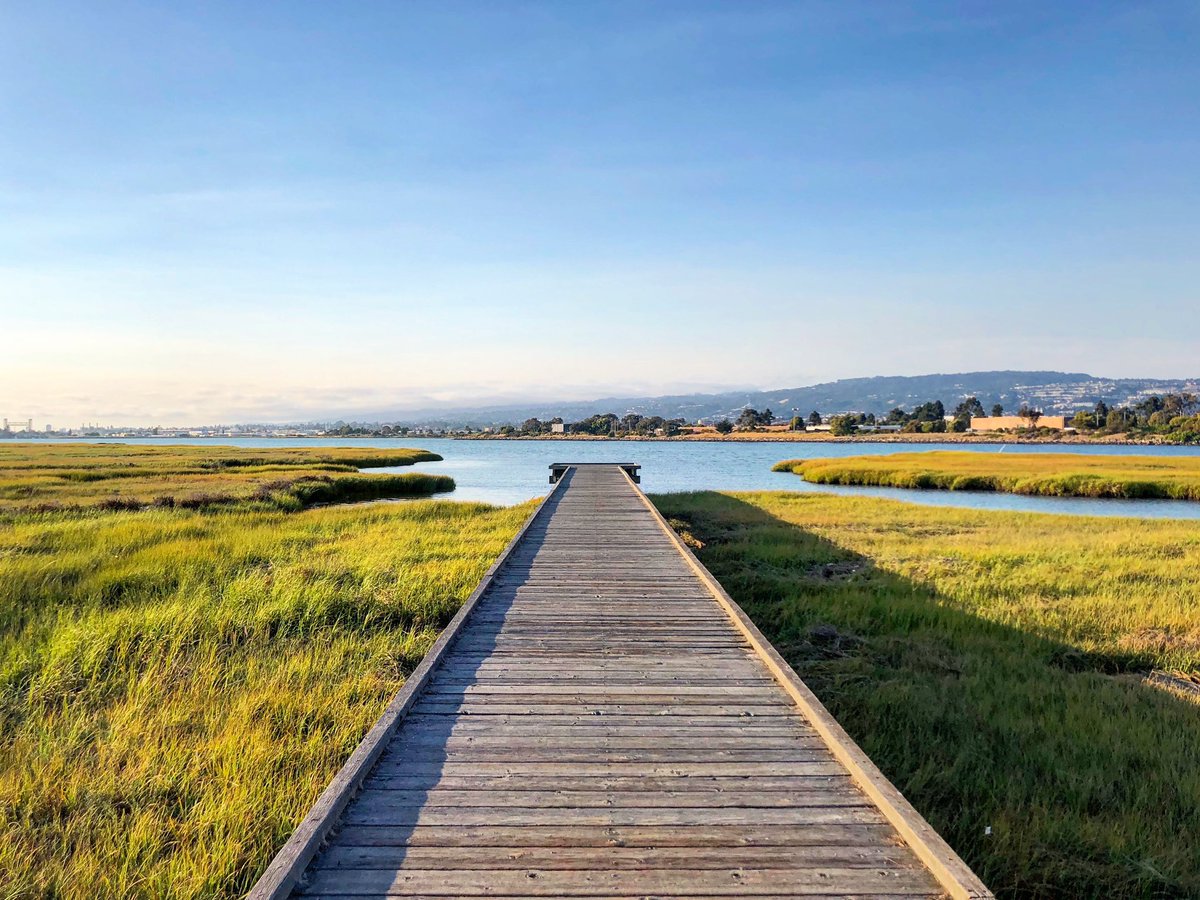 alex_harmon's tweet photo. We got in a good walk along the shoreline! 😌
#MLKShoreline #Oakland #EastBay #EBRPD https://t.co/gqnYs9Piwf
