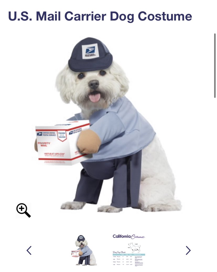 princegrandma's tweet photo. want to show people you support the usps because you’re a cool and good person? want to also actually support the usps? i have good news: their store fucking rules
https://t.co/wVflQkyj8Z https://t.co/GqLwRyp46x