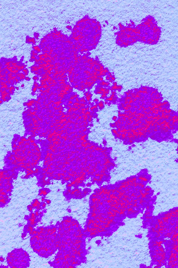 Les_Roberts_'s tweet photo. Share the Druid's vision.
#contemporarypainting #digital #digitalart #digitalartists #digitalartwork #druideye #fluidart #gallery #hcm #hcmc #hochiminh #lesart #lesinvietnam #lespainting #newart #nobrush #oiloncanvas #oilpainting #paint #painting https://t.co/mEP3oqwzML