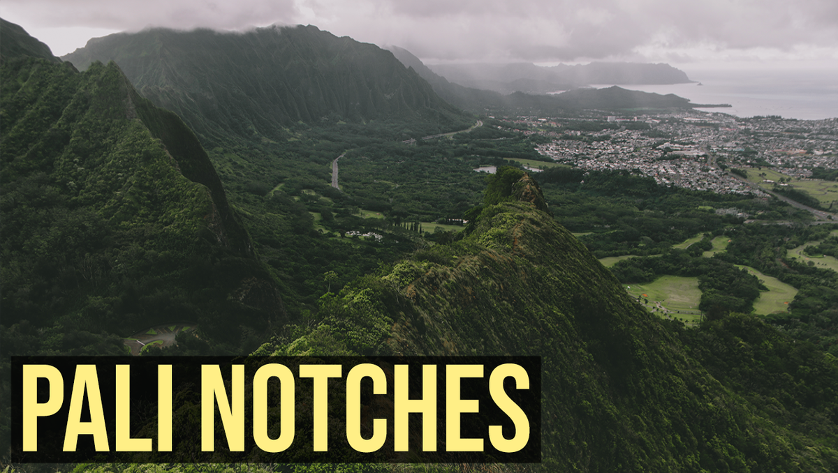 nadironthego's tweet photo. I made a video of the deadly Pali Notches hike in O'ahu

https://t.co/XdP8baO8Mx

#palinotches #hawaiiquarantine https://t.co/rcyxSuGqQw