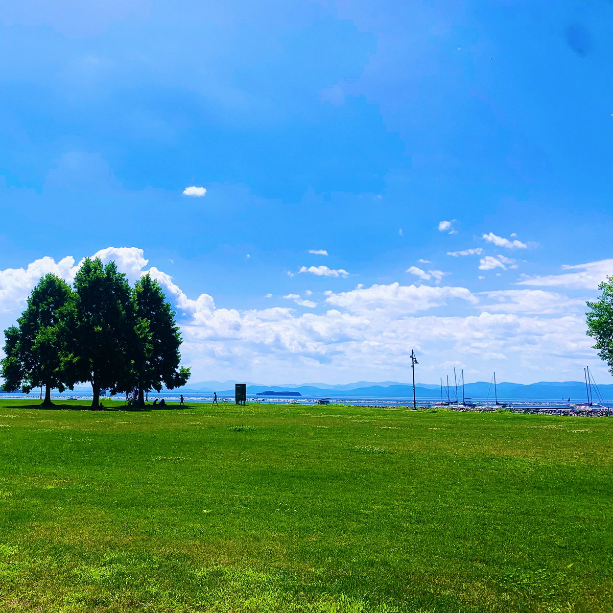 mysenses_'s tweet photo. Summer 2020❤️ https://t.co/rKmFUEmxg0