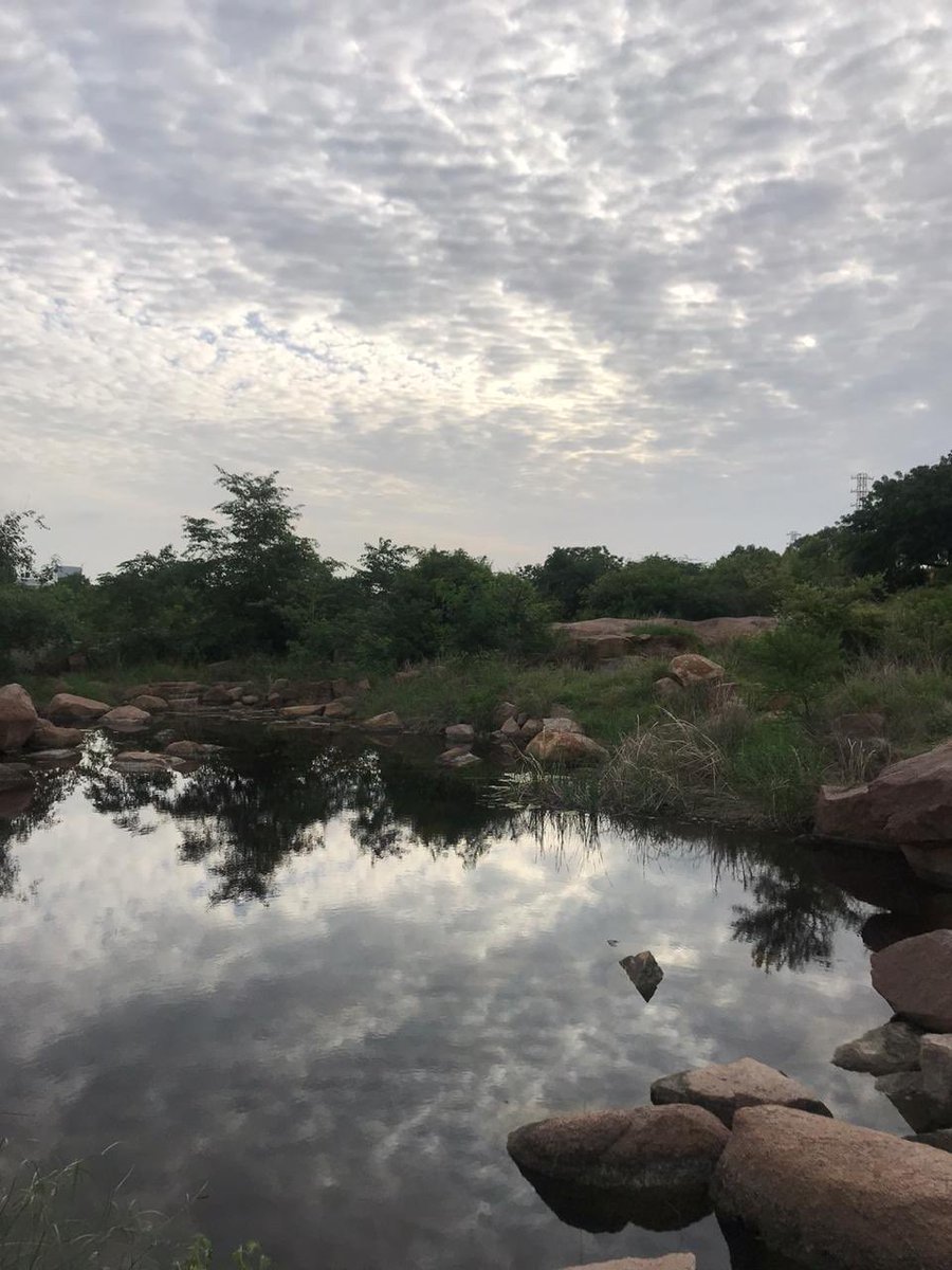 Arvind Kumar tweet media