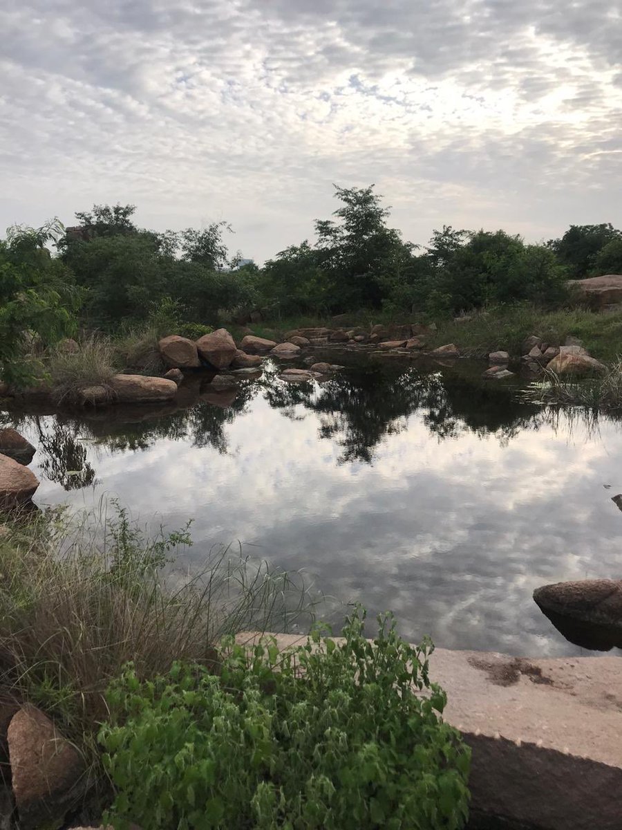 Arvind Kumar tweet media