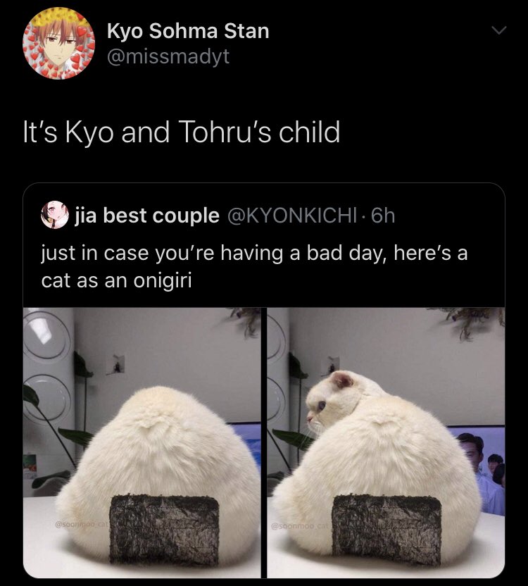 furubastruggles's tweet photo. oh my god your mind https://t.co/ixIb91ATOa